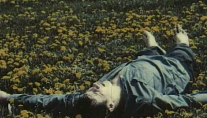 Цвітіння кульбаби (1992)