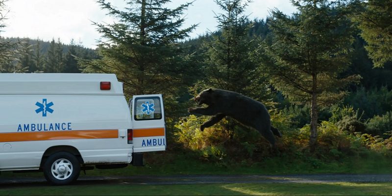 Ведмідь під кайфом / Cocaine Bear (2023)
