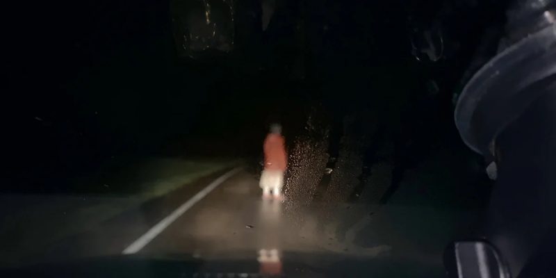 Відеореєстратор / Dashcam (2021)